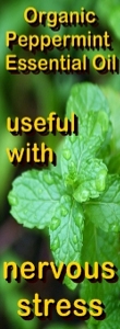 Ormus Minerals -Ormus Rich Aloe Vera Foot Cream with Organic Peppermint benefit helps with stress Ormus Minerals -Ormus Rich Aloe Vera Foot Cream with Organic Peppermint benefit helps with stress